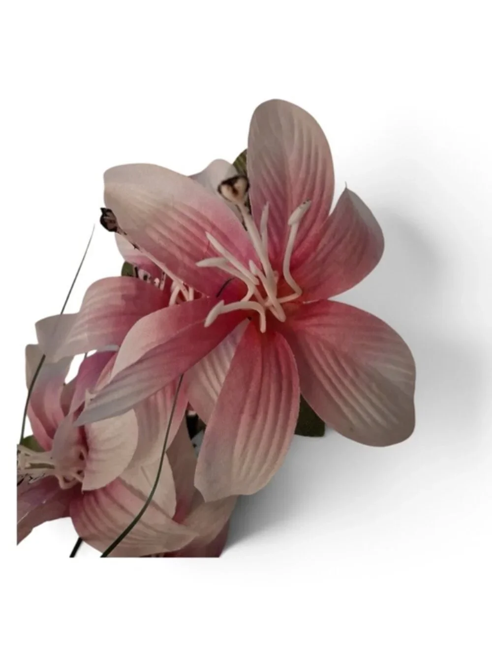 FIGLIOLINI S.R.L. elegant pink